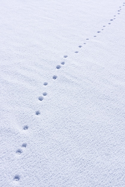 Fußspuren des Menschen im Schnee