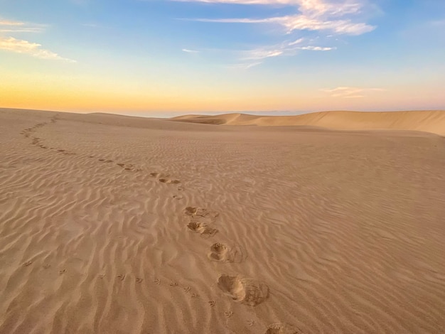 Fußspuren im Sand in der Wüste gehen in die Ferne