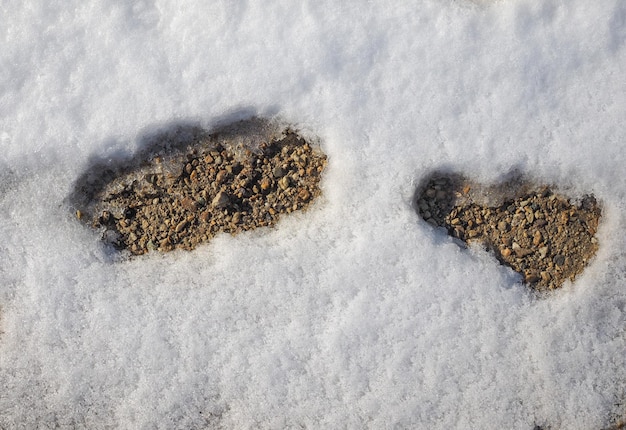 Fußspuren im Schnee