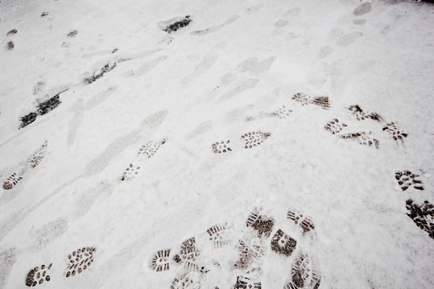 Fußspuren im Schnee