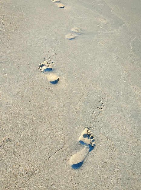 Fußspuren von Menschen im Sand am Strand