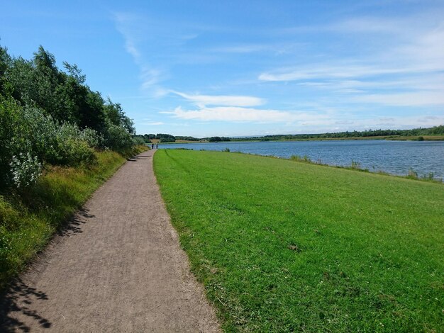 Foto fußweg am grasbewachsenen seeufer gegen den himmel