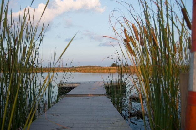 Foto fußweg am teich gegen den himmel