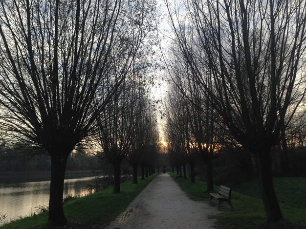 Foto fußweg durch bäume