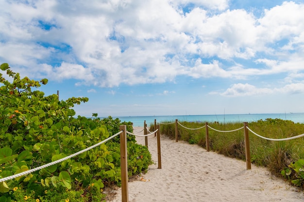 Fußweg führt zum Strandzugang Sommerferien