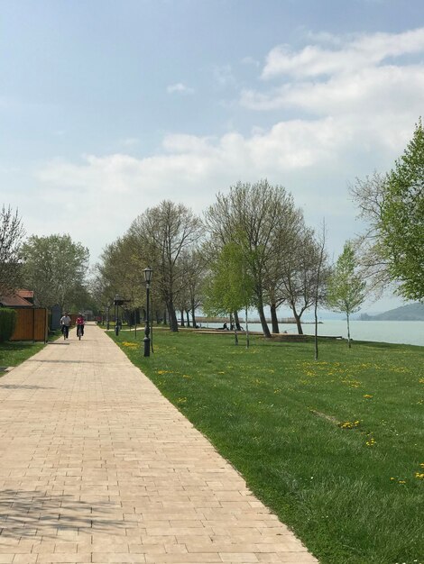 Fußweg im Park gegen den Himmel