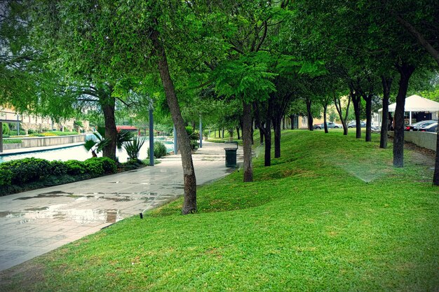 Foto fußweg im park