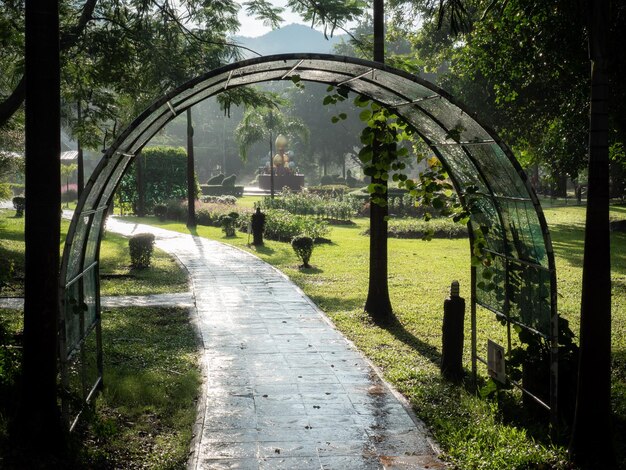 Foto fußweg im park