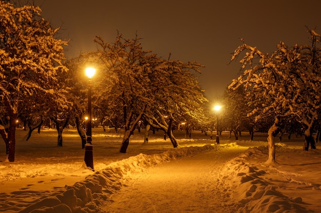 Fußweg in einem Winterstadtpark.