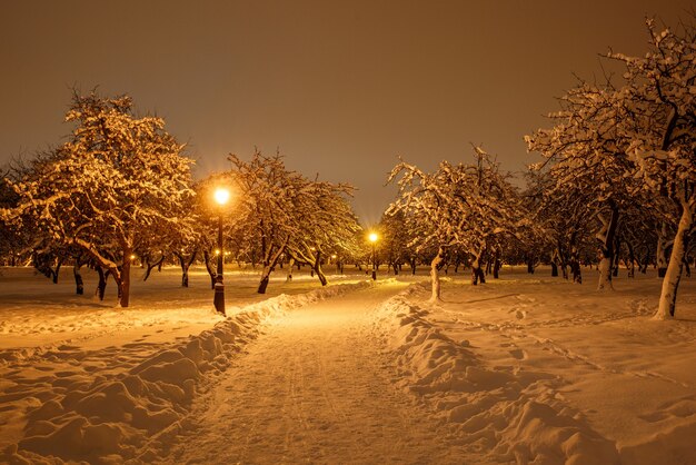 Fußweg in einem Winterstadtpark.