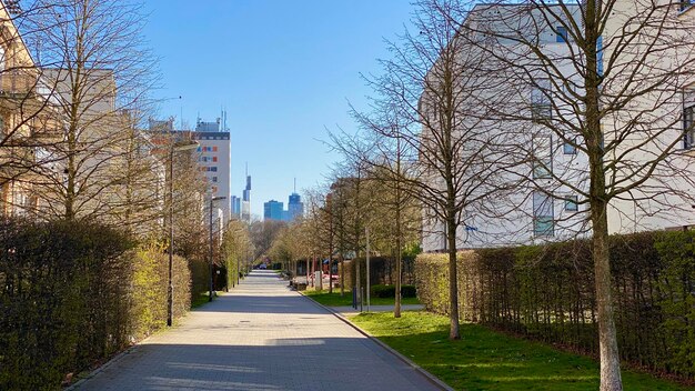 Foto fußweg inmitten von bäumen und gebäuden gegen den himmel