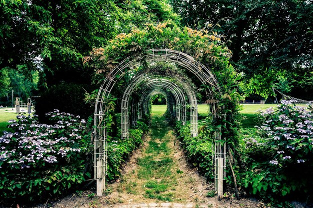 Foto fußweg mit bogen im park