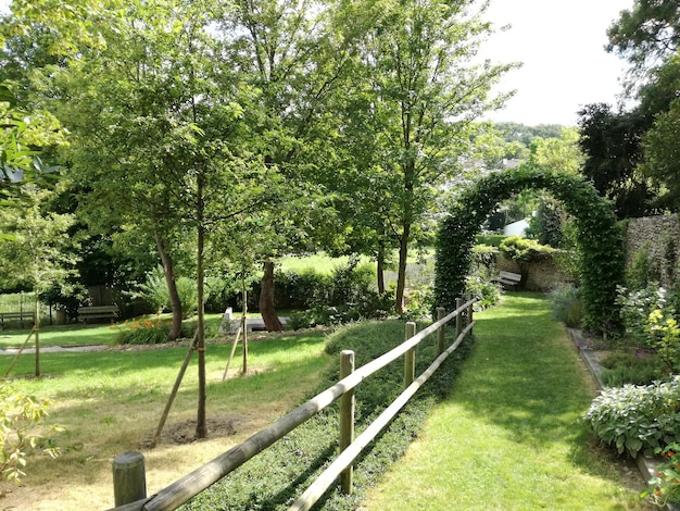 Fußweg mit Geländer im Park