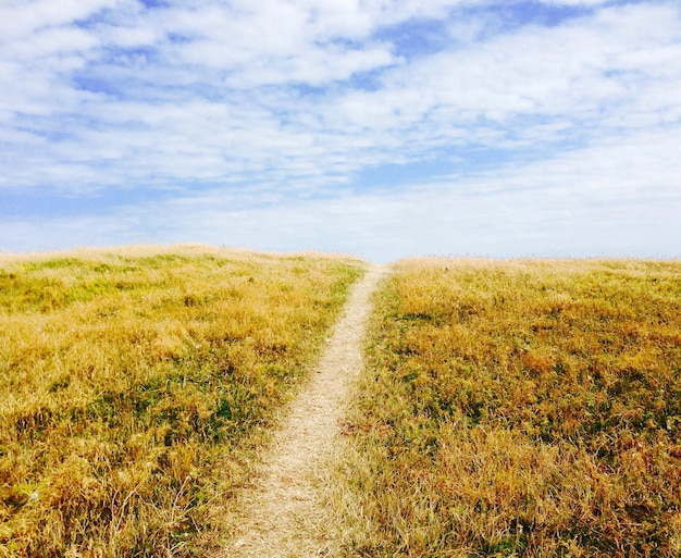 Fußweg mitten auf dem Feld gegen den Himmel