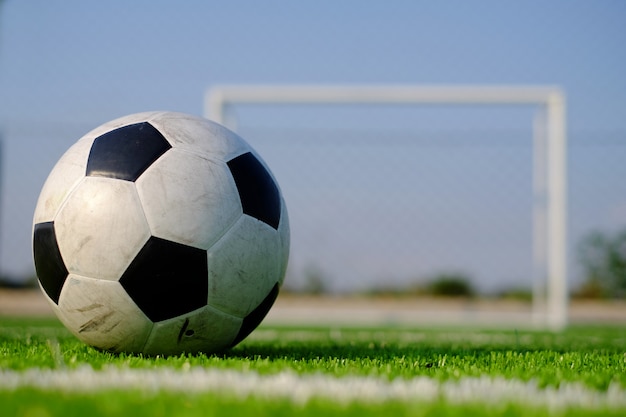 Fútbol de fútbol en campo de césped verde y portería.