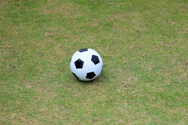 Fútbol fútbol en campo verde