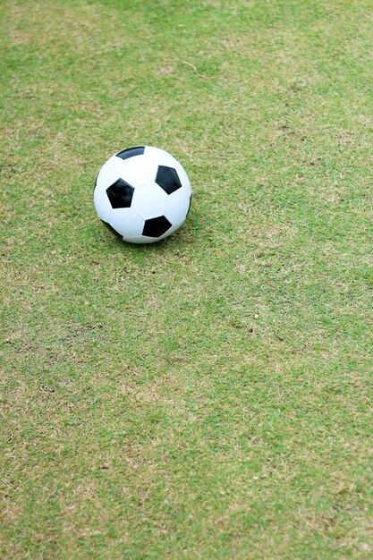 Fútbol fútbol en campo verde