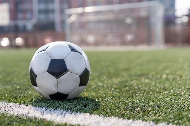 fútbol sobre césped y estadio. pelota en el estadio.