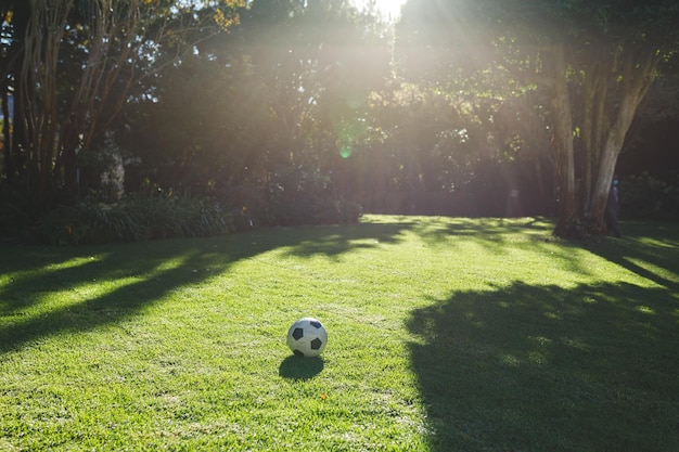 Futebol deitado na grama no jardim com árvores em dia ensolarado. passar o tempo no jardim.