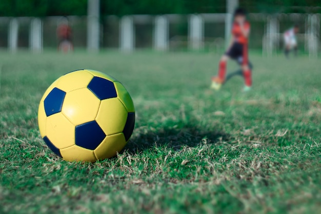 Futebol na grama no estádio world cup concept