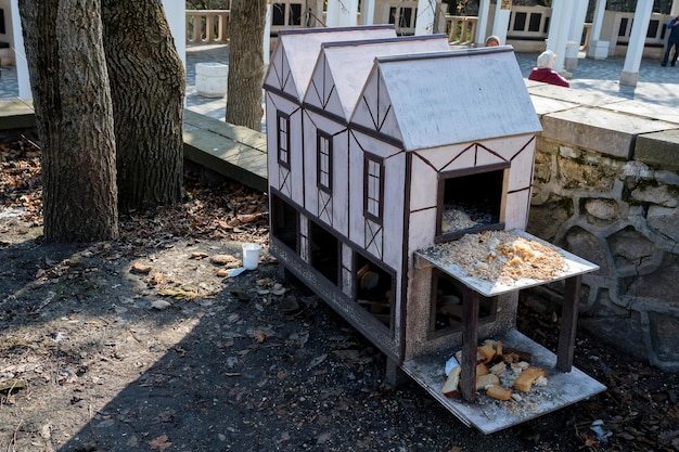 Futterstelle in Form eines Hauses für Vögel und Eichhörnchen im Park