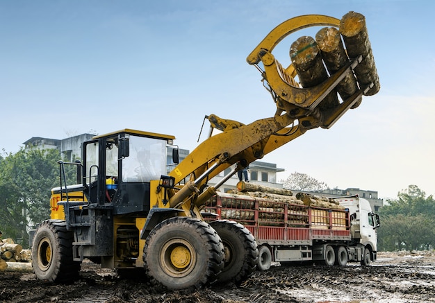 Gabelstapler ergreift Holz in einer Holzverarbeitungsanlage