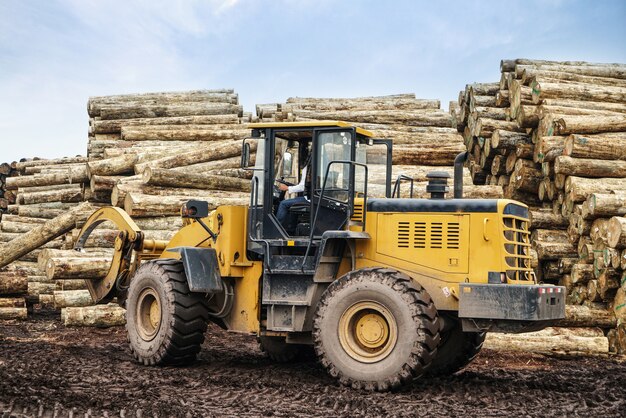 Gabelstapler ergreift Holz in einer Holzverarbeitungsanlage