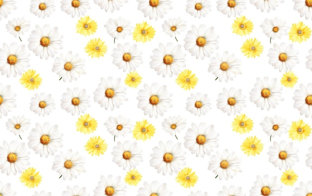 Gänseblümchen, Aquarell, Seamless, Muster, Hintergrund