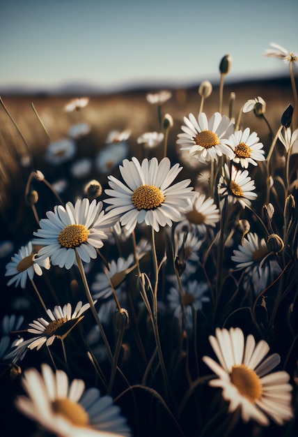 Gänseblümchen-Blume wilde Kamille Nahaufnahme AI generiert