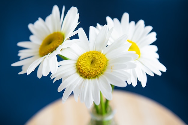 Gänseblümchen im Vase auf einem alten Holztisch