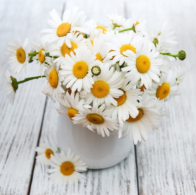 Gänseblümchen in der Vase