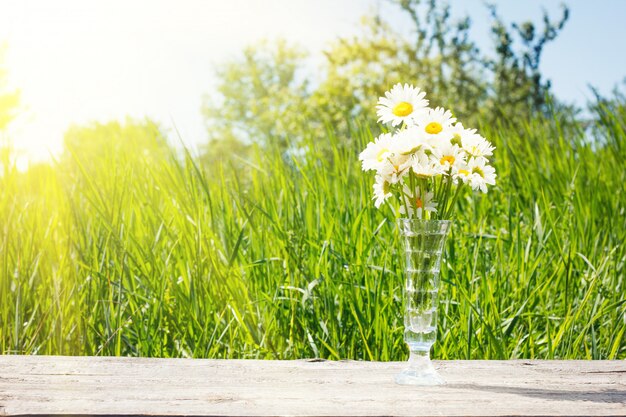 Gänseblümchen in einem Vase auf einem Holztisch Chamomile Chamomile-Blumen in einem transparenten Glasgefäß auf einem Holztisch gegen die Sommernatur.