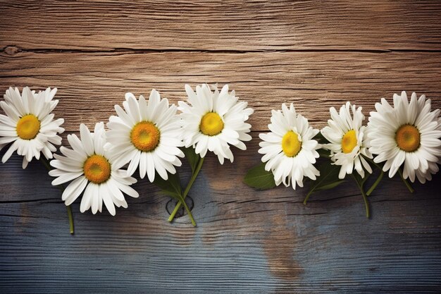 Foto gänseblümchen mit einem rustikalen holzzaun im hintergrund