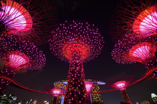 Gärten an der Bucht mit Licht in der Nacht, Singapur