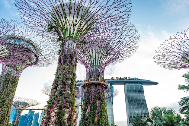 Gärten an der Bucht, Singapur