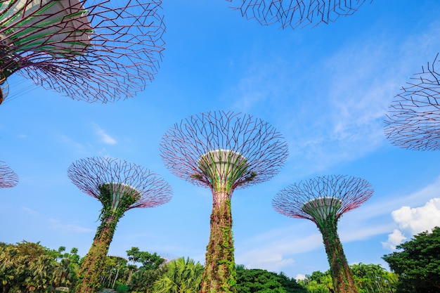 Gärten an der Bucht von Singapur