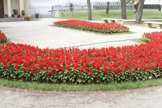 Gärten in Wilanow Warschau Polen