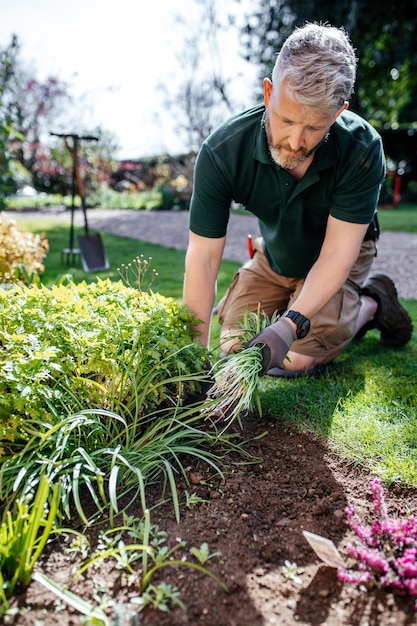 Gärtner arbeitet im schönen englischen Garten