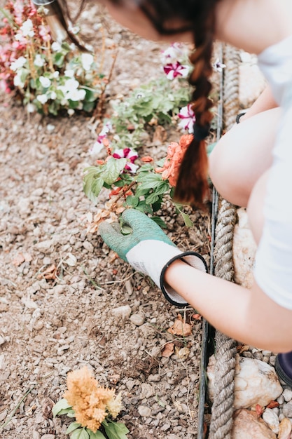 Gärtner, der Blumen im Garten pflanzt, Nahaufnahmefoto Junge Frau, die neue Gartenfähigkeiten erlernt Sommergartenarbeit kopieren Raum Bett Hausgarten Sämling Blumen in die schwarze Erde