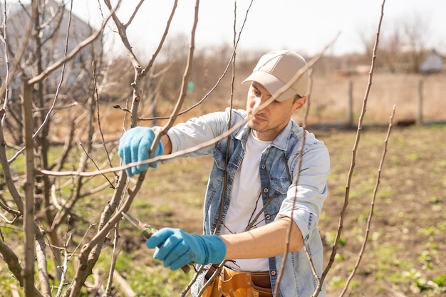 Gärtner, der Obstbäume mit einer Gartenschere beschneidet.