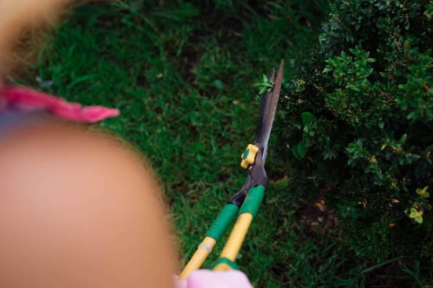 Gärtner eine frau mit schere trimmen die büsche aus dem garten nahaufnahme landschaftsgestaltung und pflege von ...