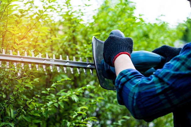 Gärtner hält elektrische Heckenschere zum Schneiden der Baumkrone im Garten