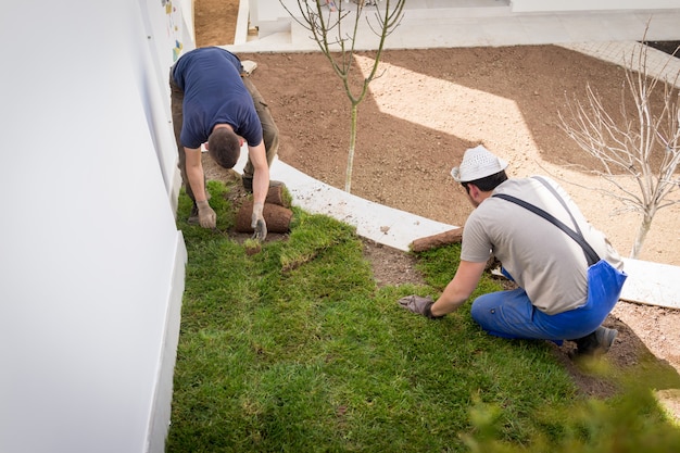 Gärtner Installating Natural Grass Turfs, das schönes Rasenfeld schafft