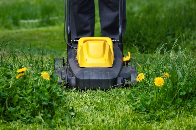 Gärtner mäht Gras im Hinterhof mit elektrischem Rasenmäher, Vorderansicht