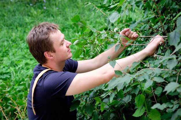 Gärtner mit Gartenschere bei der Arbeit