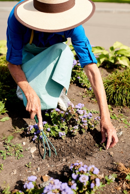 Gärtner pflanzt Blumen