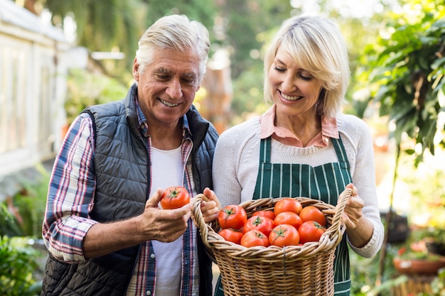 Gärtner tragen Tomatenkorb