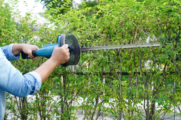 Gärtner trimmt Busch mit elektrischer Heckenschere im Gartenhobby zu Hause