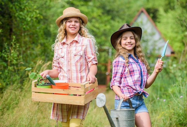 Gärtnerberuf Pflege von Pflanzen Schwestern helfen im Hinterhof Mädchen mit Gartengeräten Kinderfreundliche Gartengeräte sorgen für die Sicherheit des Kindergärtners Süßes Gärtnerkonzept Liebende Natur