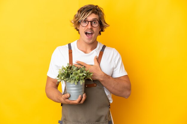 Foto gärtnerblonder mann, der eine pflanze lokalisiert hält